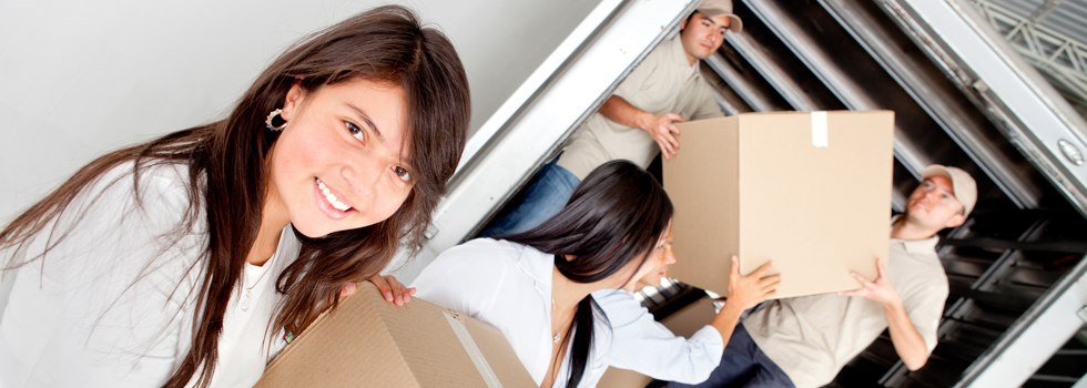 Professional Removalists One Mile NSW
